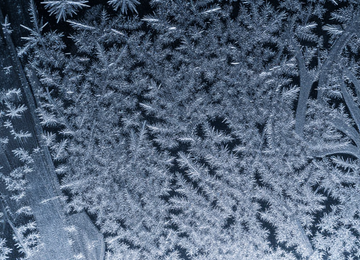차가운 결정체