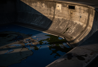 미화인가 예산 낭비인가? 트럼프의 '블루 베이슨' 프로젝트가 남긴 초록색 얼룩