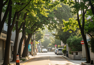 월요일 전국 날씨 예보: 대체로 맑고 따뜻한 하루가 예상됩니다