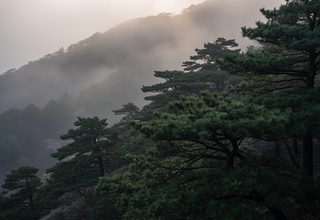 비리 의혹 수사 중이던 전 청도군수, 산에서 숨진 채 발견