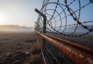 DMZ 지뢰 폭발 사고, 북한의 의도적 매설로 확인되었습니다