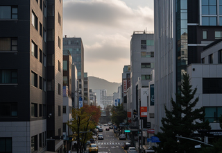 목요일 전국 주요 도시 날씨 예보
