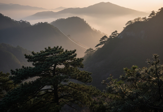 한국인 10명 중 8명, 남북 관계를 '별개의 국가'로 인식
