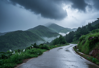 남부 지방 집중호우로 도로 침수 및 등산객 고립 사고 발생