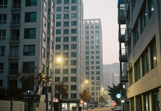 덧대어지는 규제, 불안을 키우는 토지거래허가제의 그림자