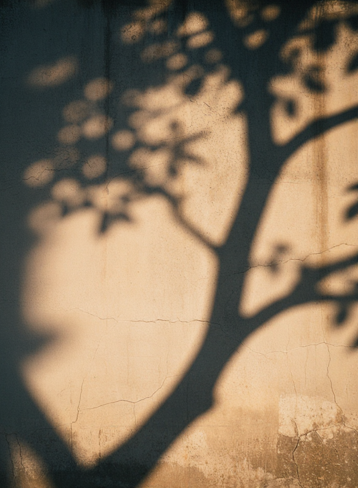 그림자 산책