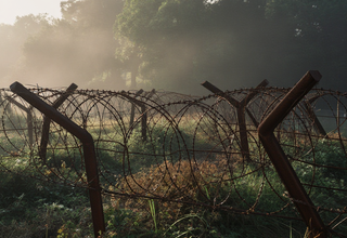 DMZ 폭발 사고, 철저한 원인 규명을 위한 조사 약속