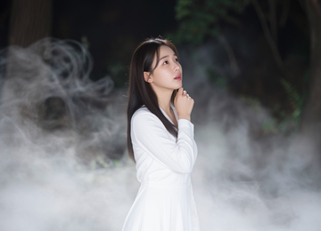 안개 속의 조우
