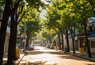 전국 주요 도시 월요일 날씨 예보: 서울은 맑지만 비 소식 있어요!
