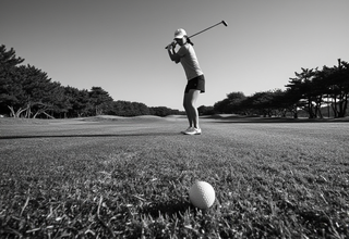 미국·한국 여자 골프 스타들, 한국 LPGA 대회 위해 한자리에 모인다