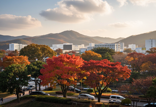 목요일 전국 날씨 예보: 대체로 맑지만 곳곳에 비 소식이 있어요!